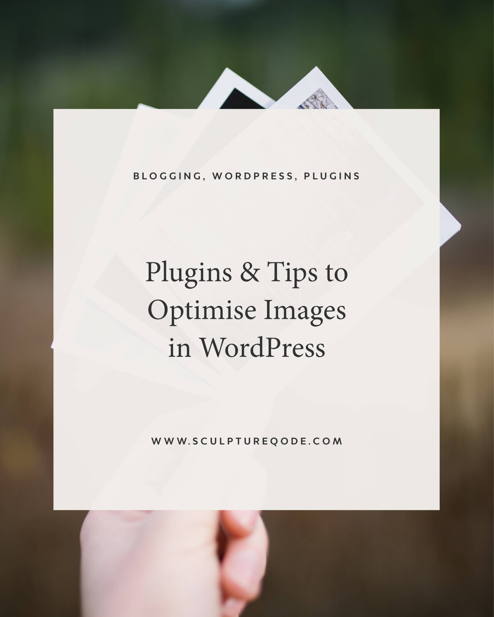 wordpress plugins for image optimisation