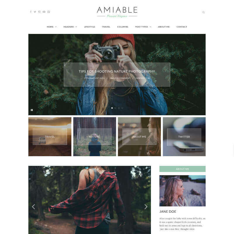 amiable wordpress theme